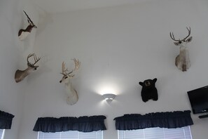Une pièce dont les murs sont ornés de têtes d’animaux empaillées, avec une télévision et des fenêtres recouvertes de rideaux sombres.
