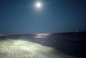 Camastros y toallas de playa 