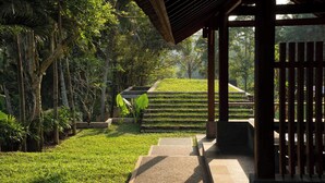 Un camino que lleva a un porche con vistas a un jardín y escalones.