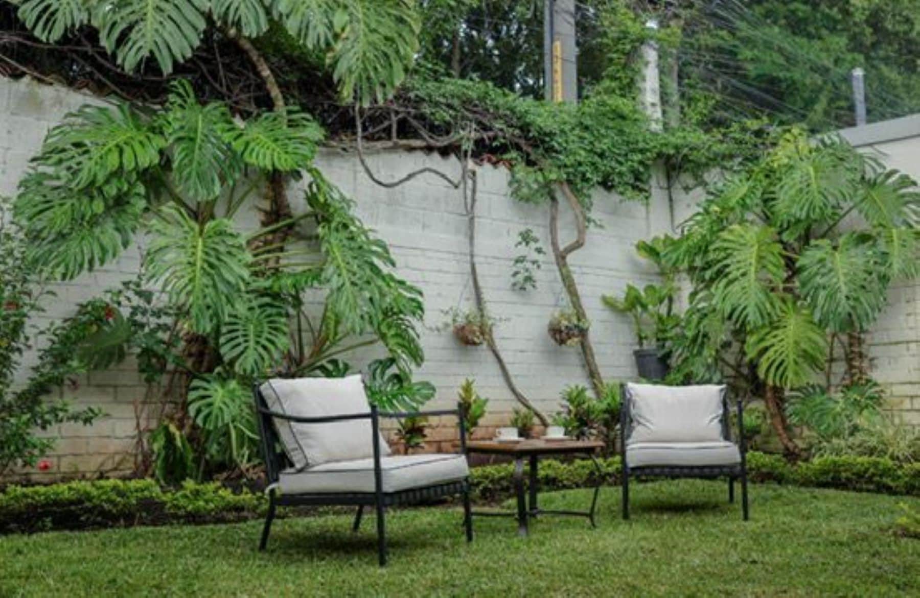 Khuôn viên nơi lưu trú