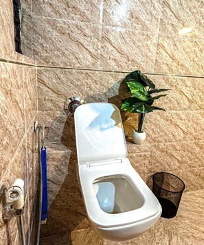 Douche, serviettes fournies, savon, shampoing