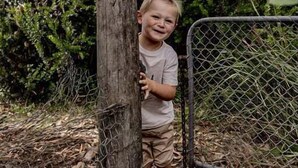 A child standing next to a wooden post and a chain-link fence in a natural setting with trees and foliage in the background. - Allure Bicheno - Absolute Waterfront (Glamorgan-Spring Bay)