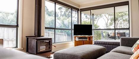 Fernseher, Kamin, DVD-Player, Bücher