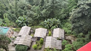 A cluster of small, rectangular huts with thatched roofs, surrounded by dense forest, and a small pool to the left. - Deoja Forest Stay (Darjeeling)