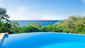 A clear blue infinity pool with a view of the ocean and lush greenery.