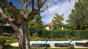 Un espace piscine avec des chaises longues, un grand arbre et un bâtiment en arrière-plan.