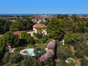 A large house with a swimming pool surrounded by lush greenery and flowering plants.