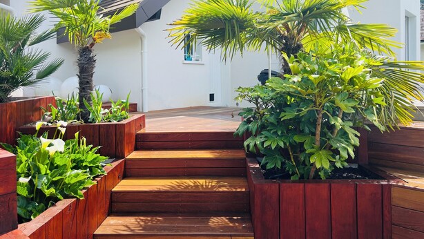 Un espace extérieur moderne, agrémenté d’un escalier en bois menant à un bâtiment blanc, lequel est entouré de différentes plantes en pot et de verdure.