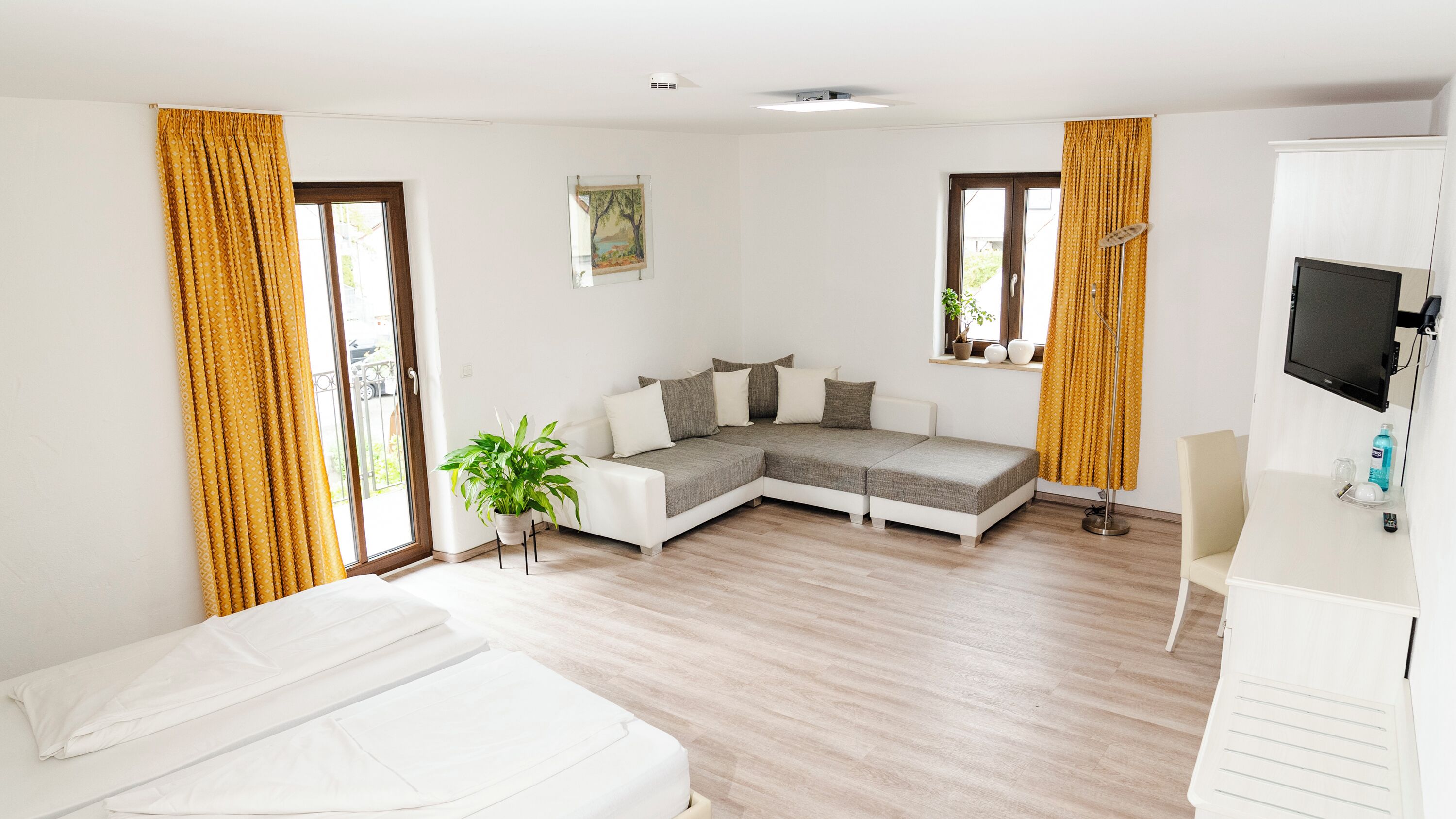 Un dormitorio moderno con sofá cama, televisor de pantalla plana y una planta en maceta.