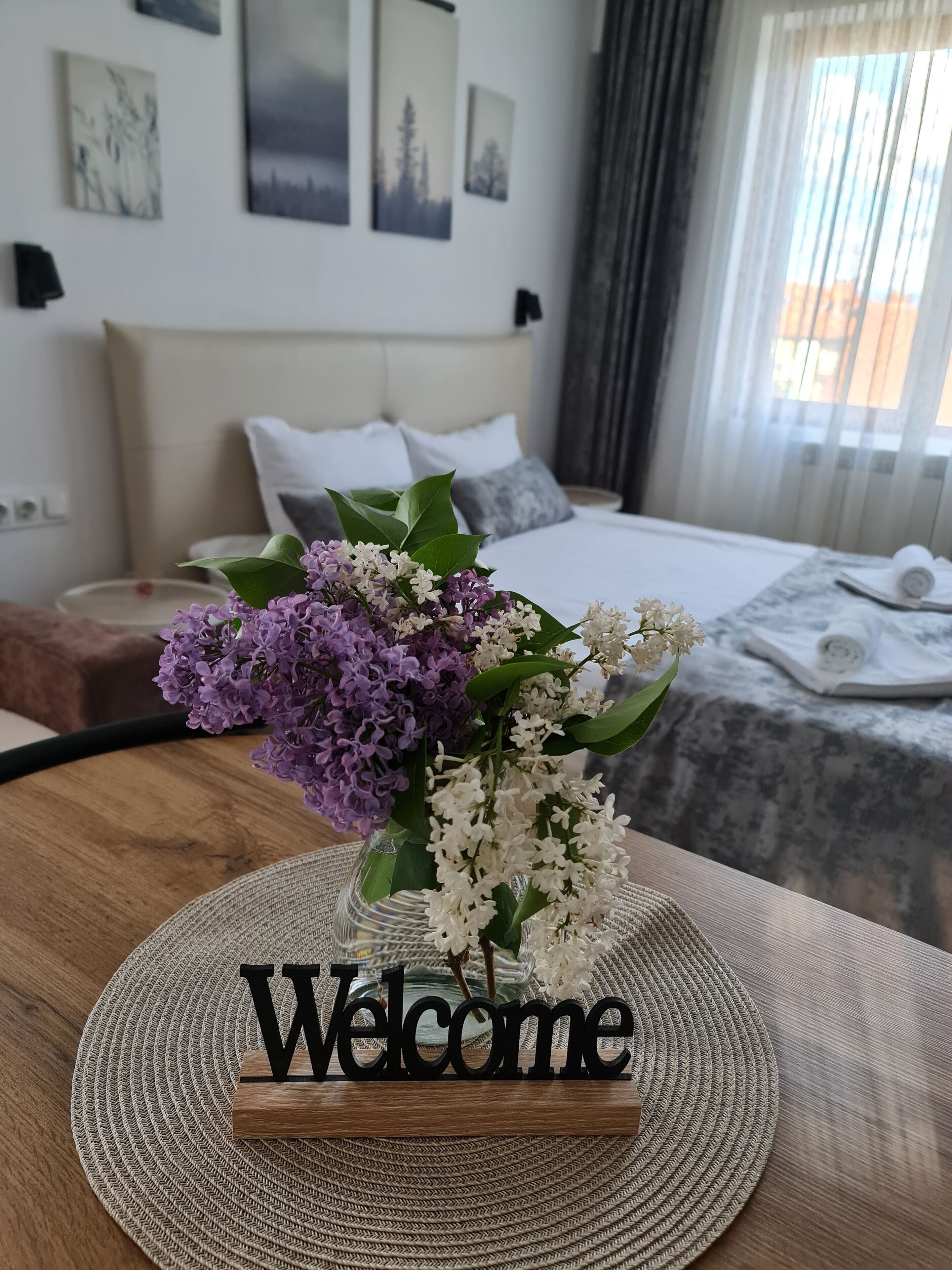 1 bedroom, down comforters, desk, laptop workspace