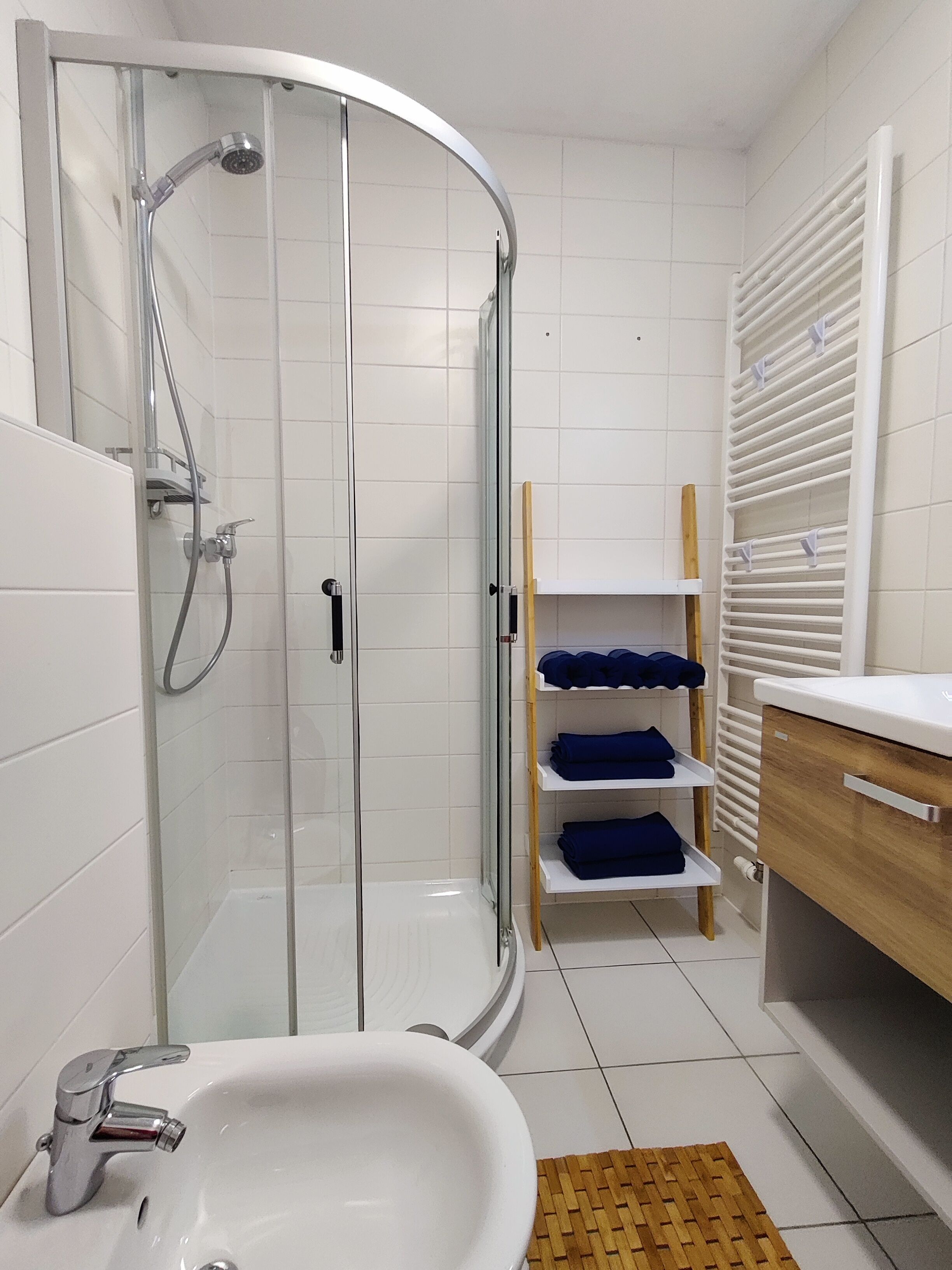 Shower, hair dryer, bidet, towels