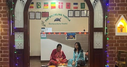 The Sparkling Turtle Backpackers Hostel