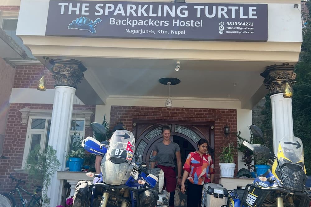 The Sparkling Turtle Backpackers Hostel