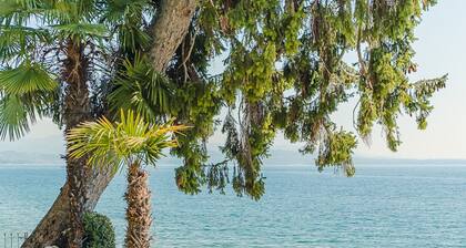 Villa Piccola Capri - Italian Homing