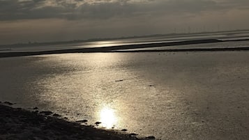 海滩