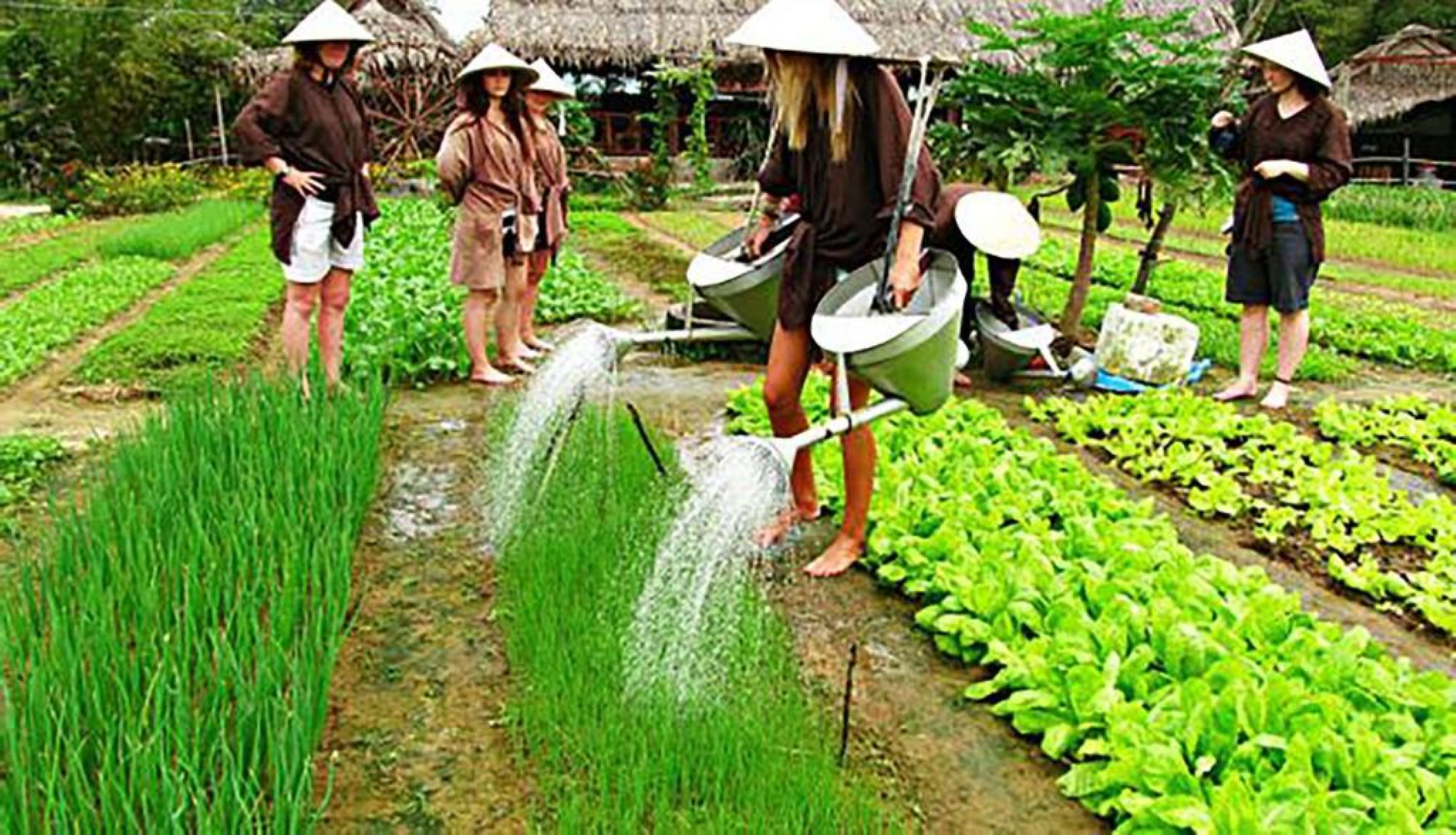 A group of people in a field, some wearing traditional conical hats, engaged in agricultural activities.