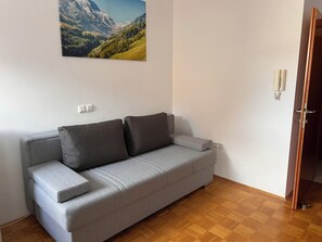 Flat-screen TV - A small studio that offers everything that big ones have (Kranjska Gora)