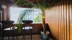 Une pièce avec deux tabourets de bar, une grande plante en pot et une fenêtre donnant sur des immeubles.