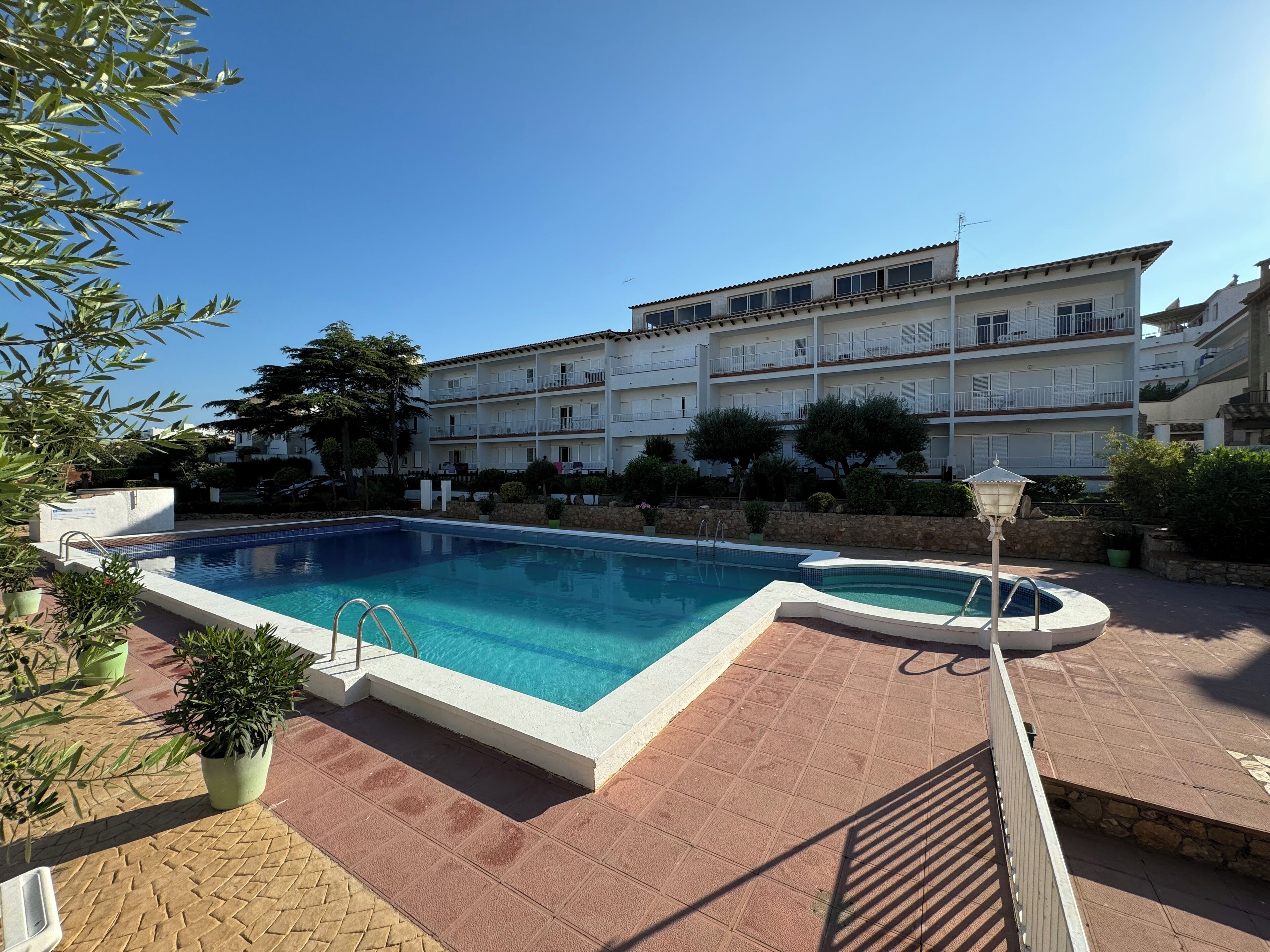 Una piscina rectangular amb solera enrajolada, envoltada per plantes en testos i una paret de pedra.