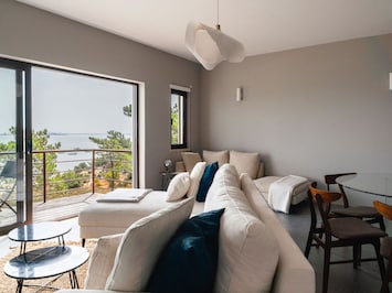 Salon moderne avec vue