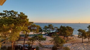 Une plage avec des arbres, une zone sablonneuse et une étendue d’eau.