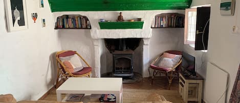 Smart TV, fireplace, books