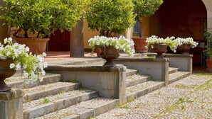 A courtyard with stone steps leading to a building entrance, surrounded by potted plants and white flowers.