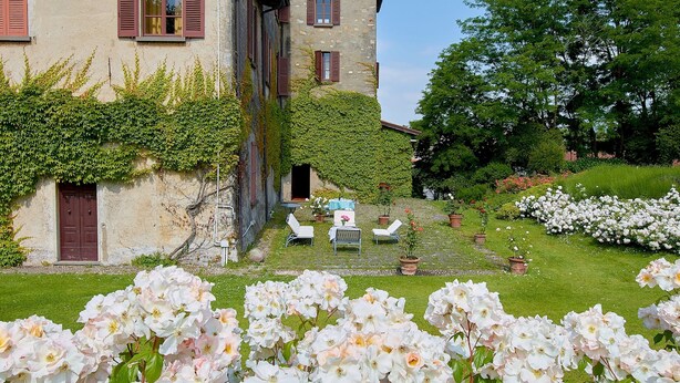 A building with a garden in front, featuring white flowers and green plants.