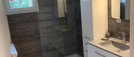 Shower, towels, soap, toilet paper