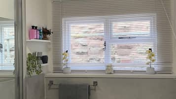 Apartment | Bathroom | Shower, towels, toilet paper