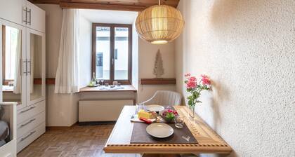 Chasa Vi Studio: located in the center of Scuol