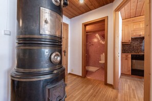 Shower, hair dryer, towels - CHASA CURASCH: COSY, MODERN FURNISHED, 1.5-ROOM HOLIDAY FLAT (Scuol)