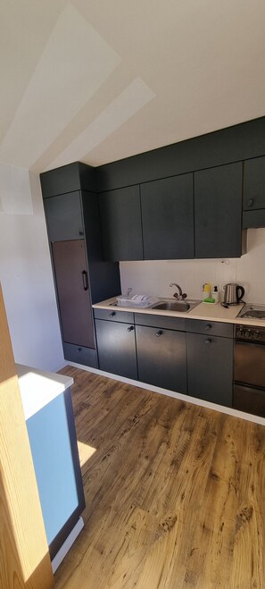 Fridge, oven, stovetop, coffee/tea maker