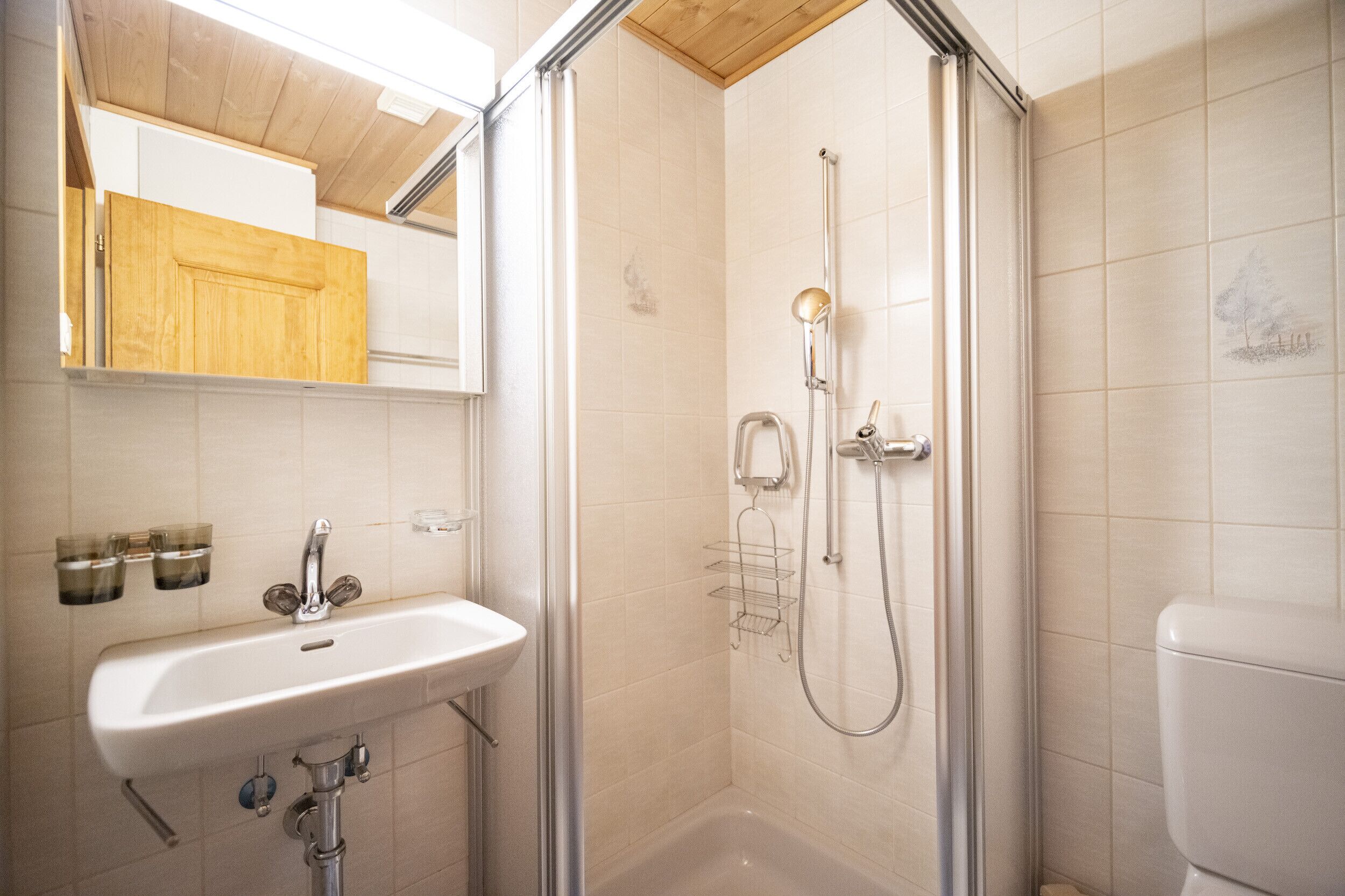 Une salle de bain équipée d’un lavabo, d’un miroir, d’une douche et de toilettes.