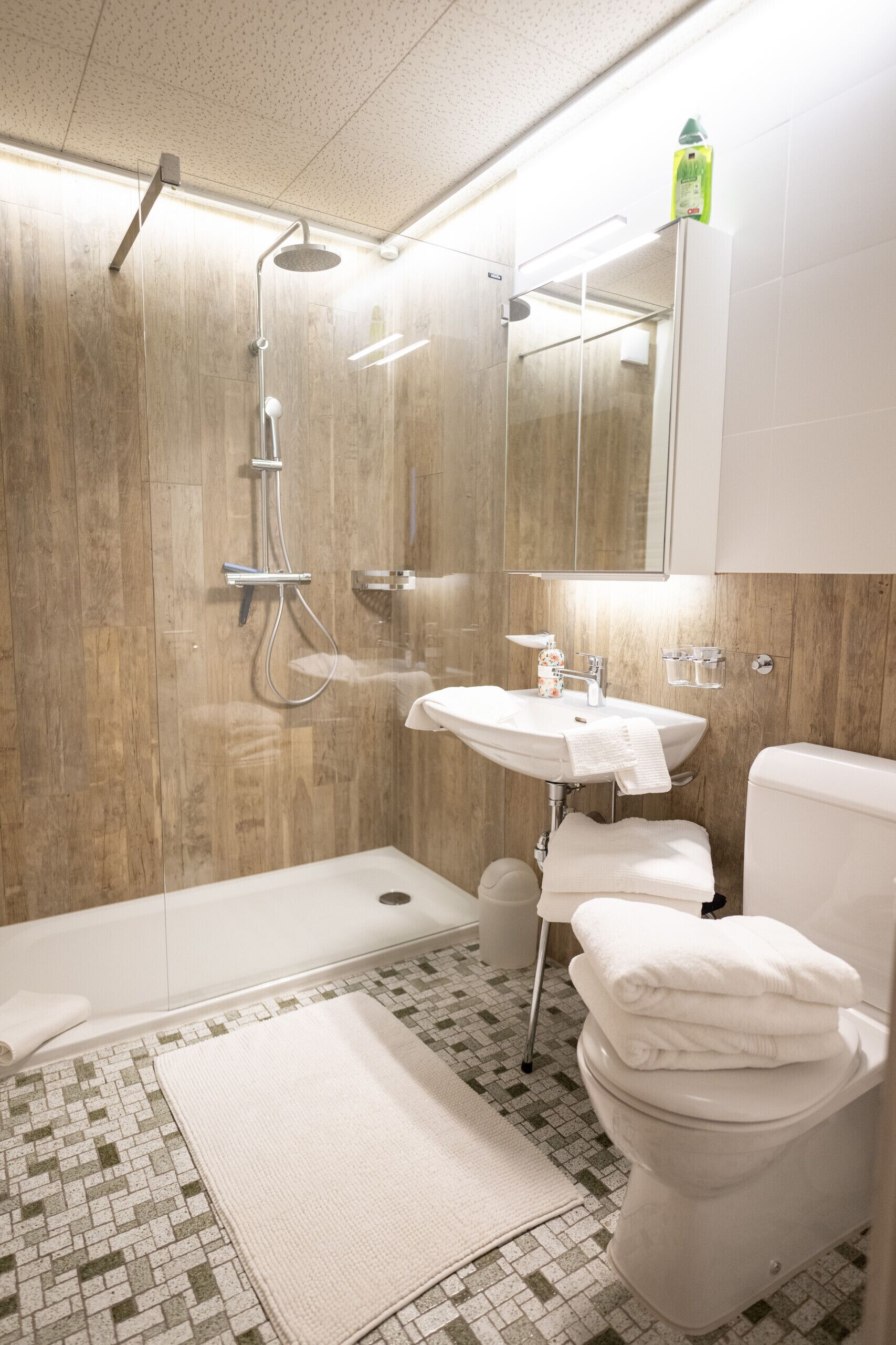 Douche, séchoir à cheveux, serviettes fournies
