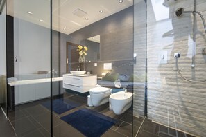 Shower, hair dryer, towels