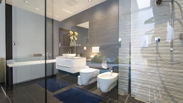 Shower, hair dryer, towels