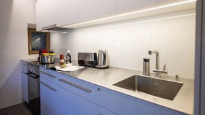 A modern kitchen with stainless steel appliances, a sink, and a countertop. - Chasa Bijou: Idyllic 3-room apartment in the quiet mountain village of Ftan (Ftan)