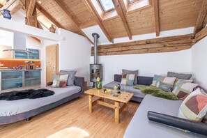 Fernseher, Kamin
