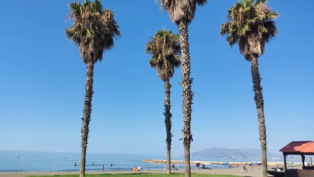 Una spiaggia con palme e un cielo azzurro intenso.