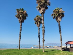 Une plage bordée de palmiers, sous un ciel bleu et dégagé.