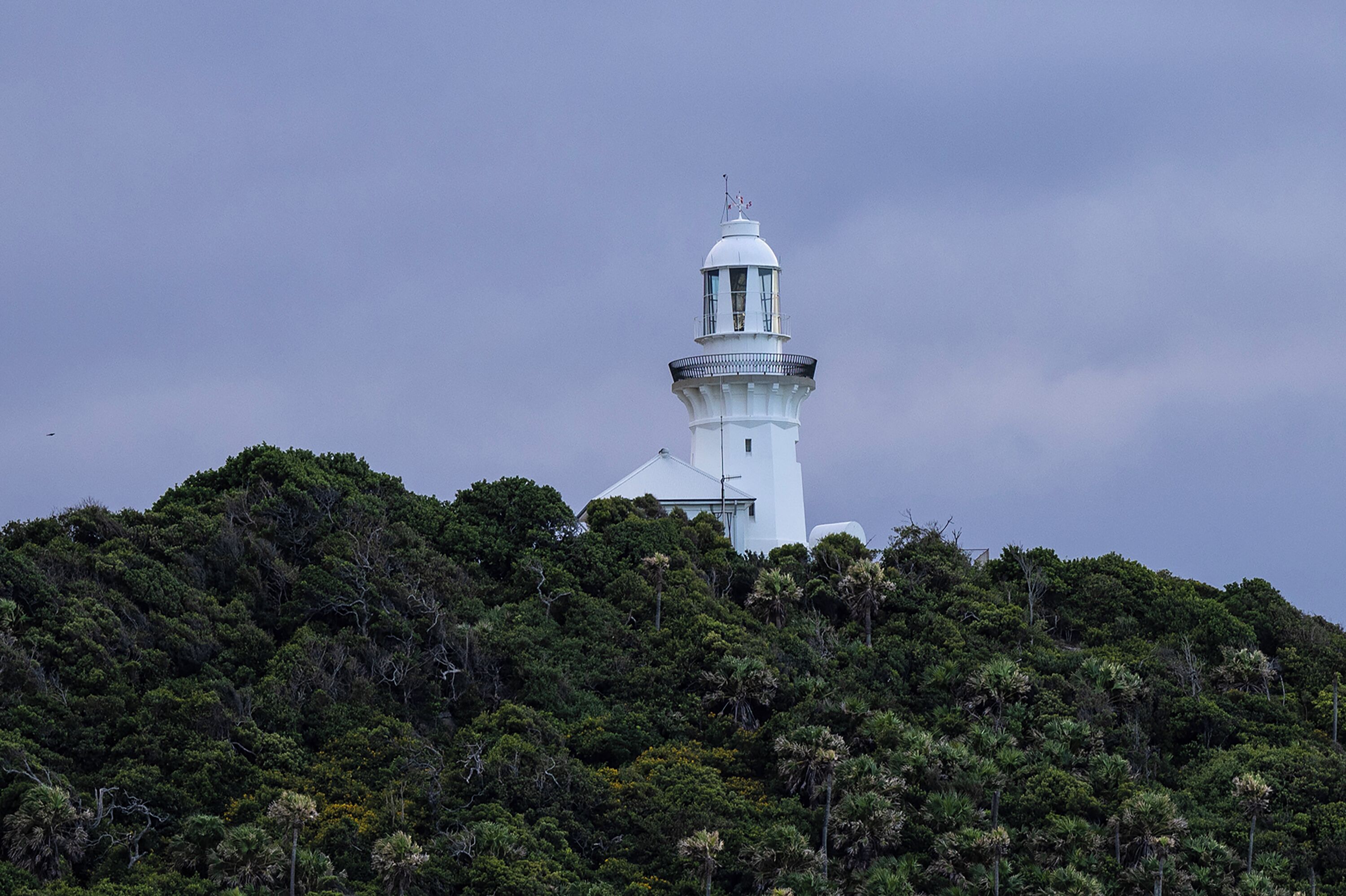A white lighthouse on a hill with dense green foliage.