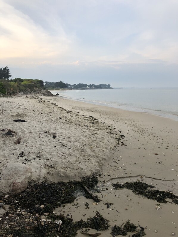 Tæt på stranden