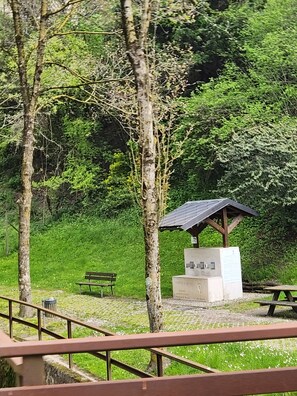Terrein van de accommodatie
