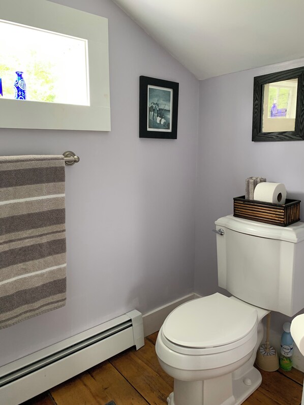 A bathroom with a white toilet, a striped towel, a framed picture on the wall, and a window with natural light. - Catskill Farmhouse, mountain views, spring-fed swimming pond with deck, 22 acres (Grahamsville)