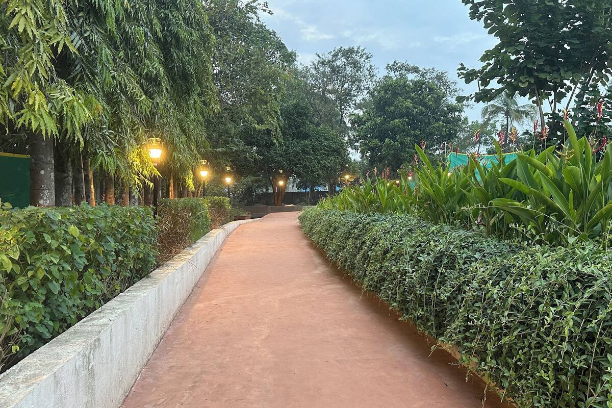 Un sentier bordé d’une végétation luxuriante et d’arbres, qui mène à une construction située au loin.