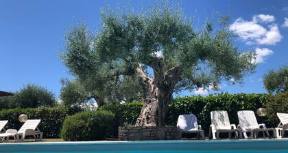 Lake Trasimeno Tranquil Retreat