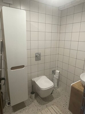Shower, hair dryer, bidet, towels