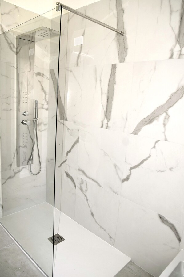 Shower, hair dryer, bidet, towels