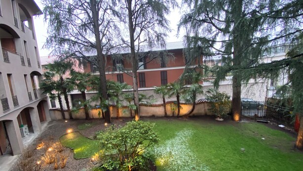 Um pátio com gramado, árvores e um edifício com várias janelas e varandas.